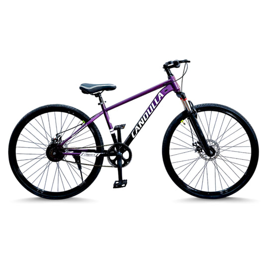 OBSIDIAN 700X35C Hybrid Bike | Double Disc | Suspension Fork | Lightweight 700X35C Hybrid Bike | Double Disc | Suspension Fork | Lightweight