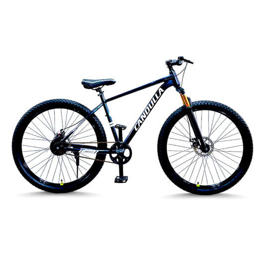 ALLOY 6061 QUANTUM G1 Single Speed MTB Mountain Bike 29"
