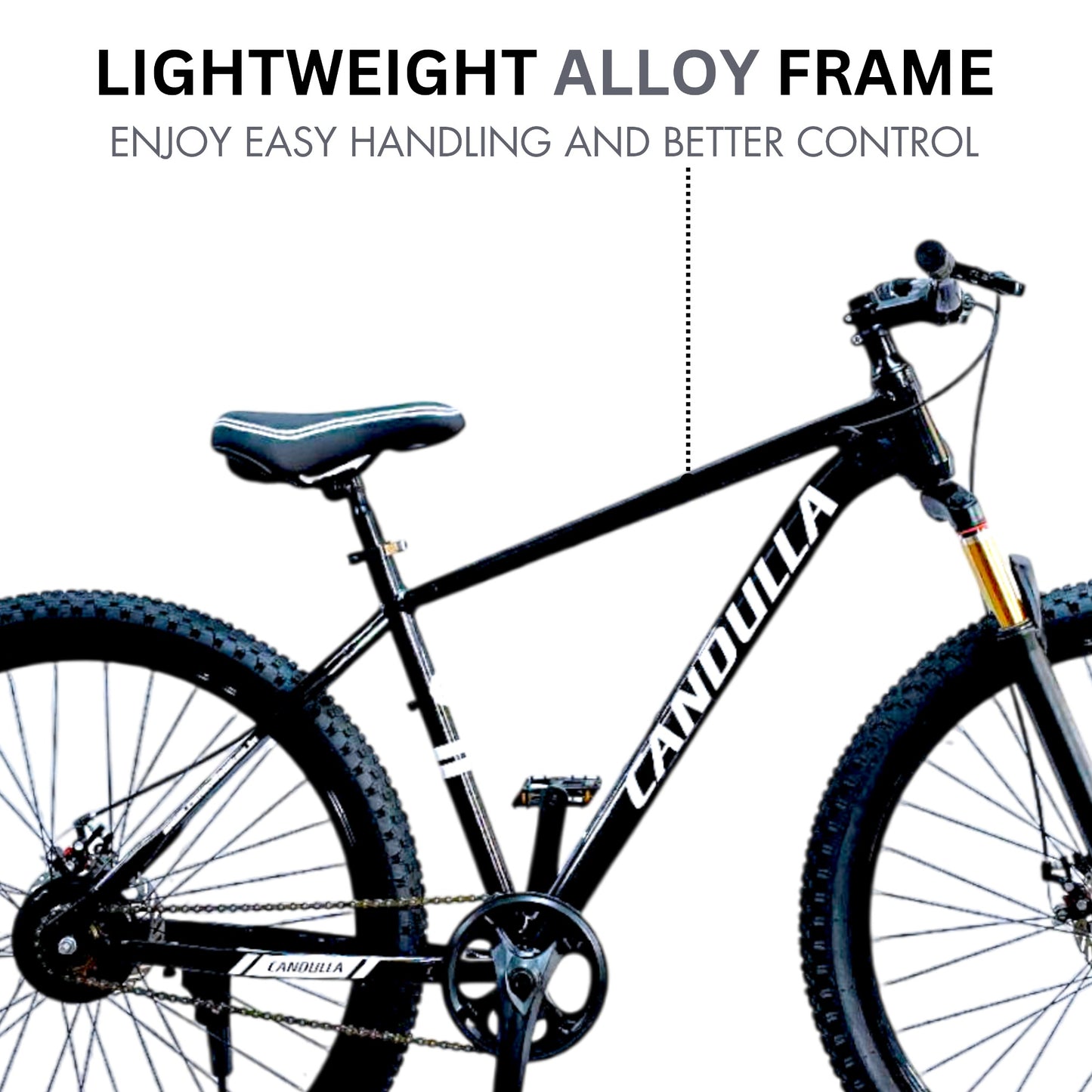 ALLOY 6061 BLACK HAWK Single Speed MTB Mountain Bike 29"