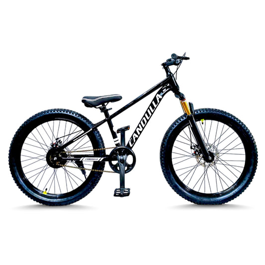 BLACK HAWK Single Speed MTB Mountain Bike 24"