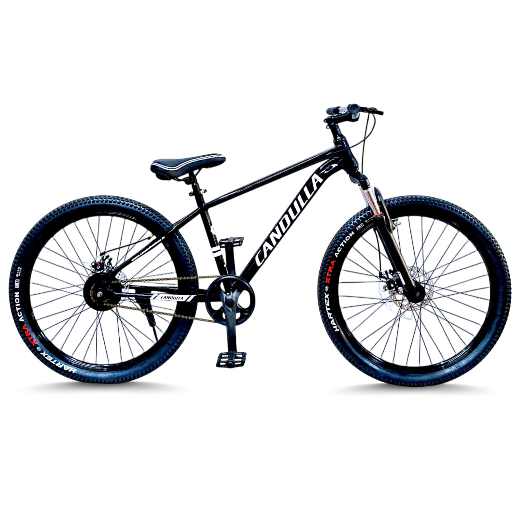 OBSIDIAN Single Speed MTB Mountain Bike 26