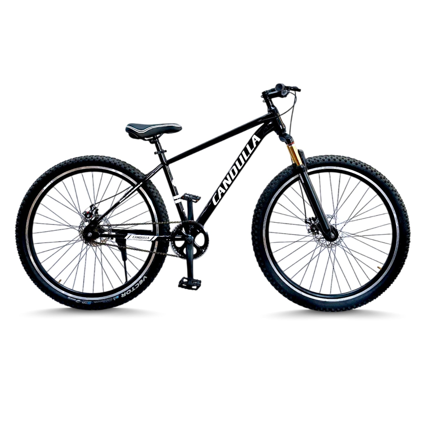 BLACK HAWK Single Speed MTB Mountain Bike 29"