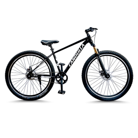 BLACK HAWK Single Speed MTB Mountain Bike 29"