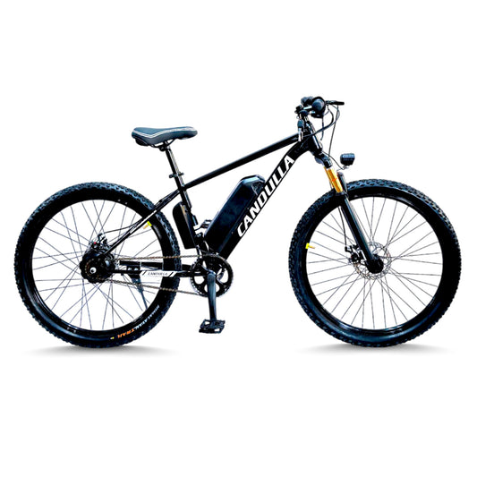 Black Hawk Electric Bike | 5.2Ah Battery | Up to 35Km Range | Removable Battery