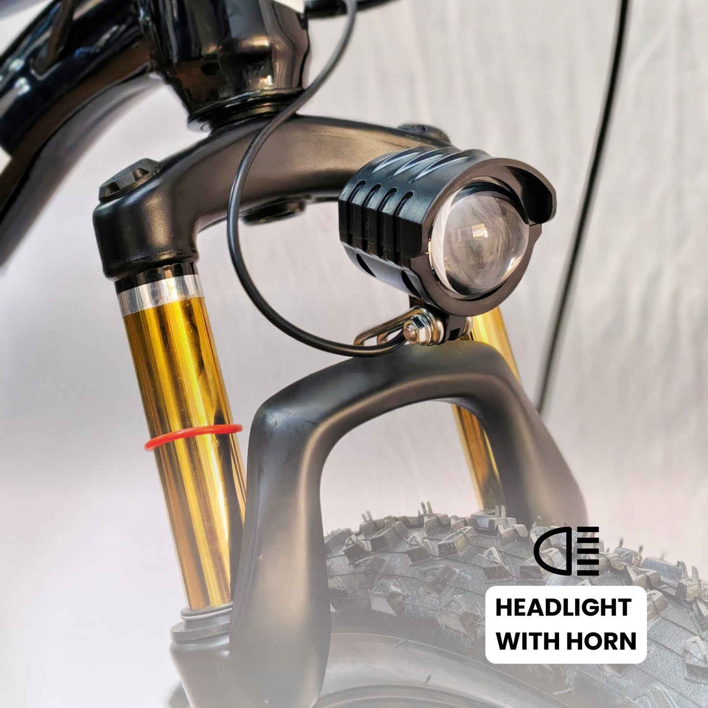 Black Hawk Electric Bike | 5.2Ah Battery | Up to 35Km Range | Removable Battery