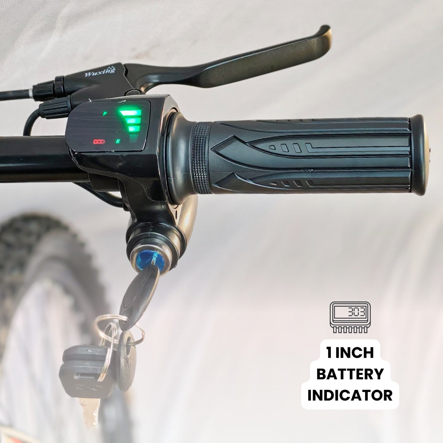 Black Hawk Electric Bike | 5.2Ah Battery | Up to 35Km Range | Removable Battery