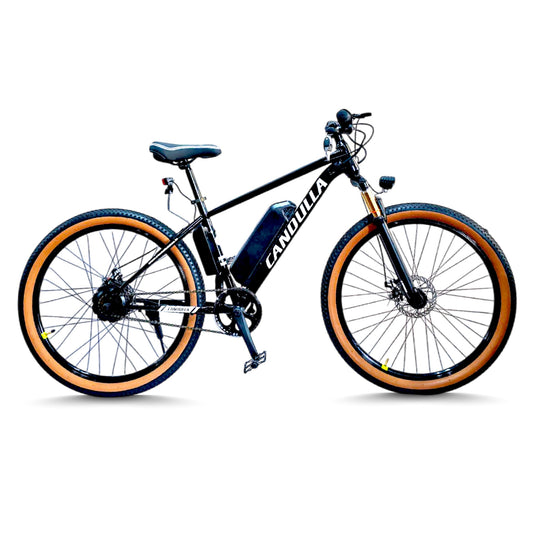 Black Hawk Electric Bike | 7.8Ah Battery | Up to 40Km Range | Removable Battery