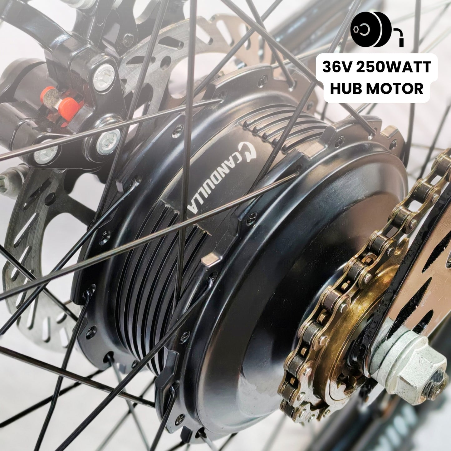 Black Hawk Electric Bike | 7.8Ah Battery | Up to 40Km Range | Removable Battery