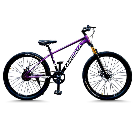 OBSIDIAN Single Speed MTB Mountain Bike 26"